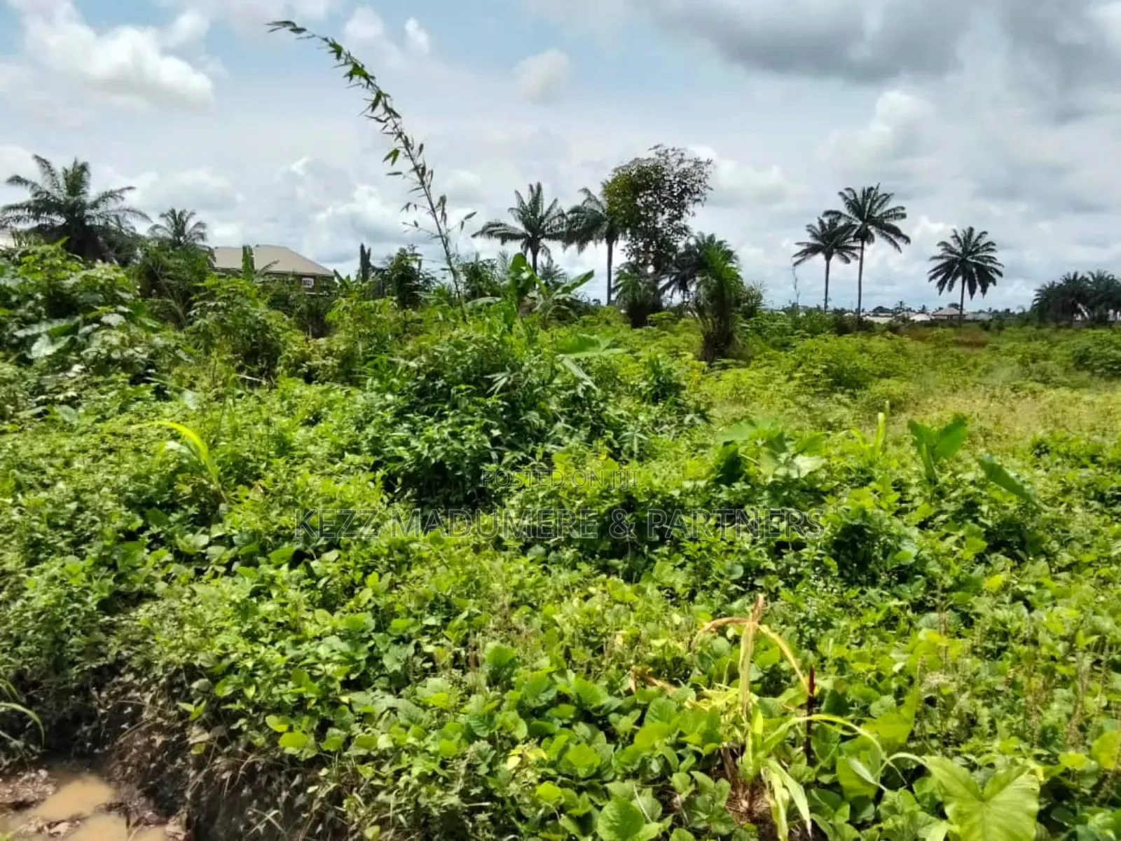 For Sale : 10.6 Hectares Near Ibom Specialist Hospital, at Itam 2 in Uyo