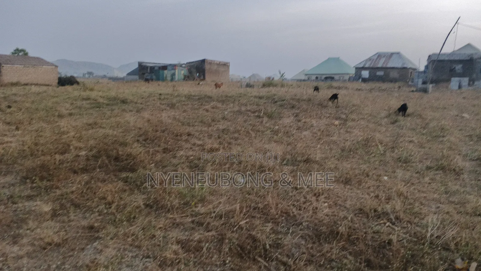 50/100 Virgin Land for Sale in Karu