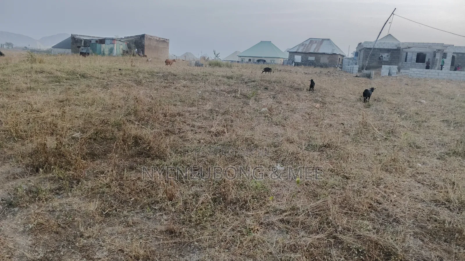 50/100 Virgin Land for Sale in Karu
