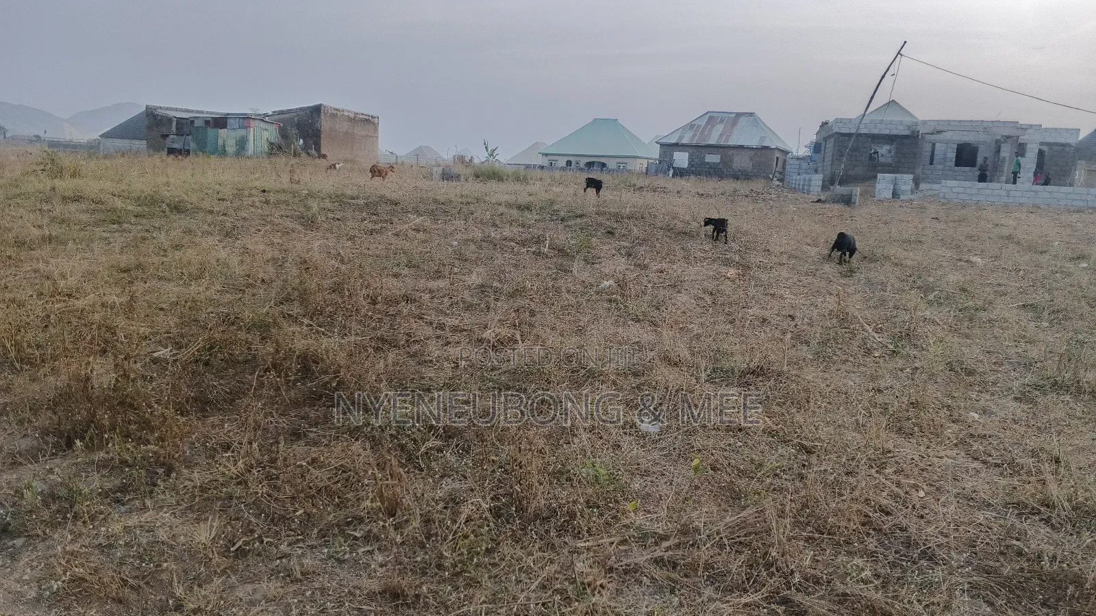 50/100 Virgin Land for Sale in Karu