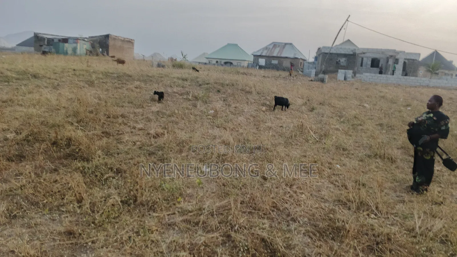50/100 Virgin Land for Sale in Karu