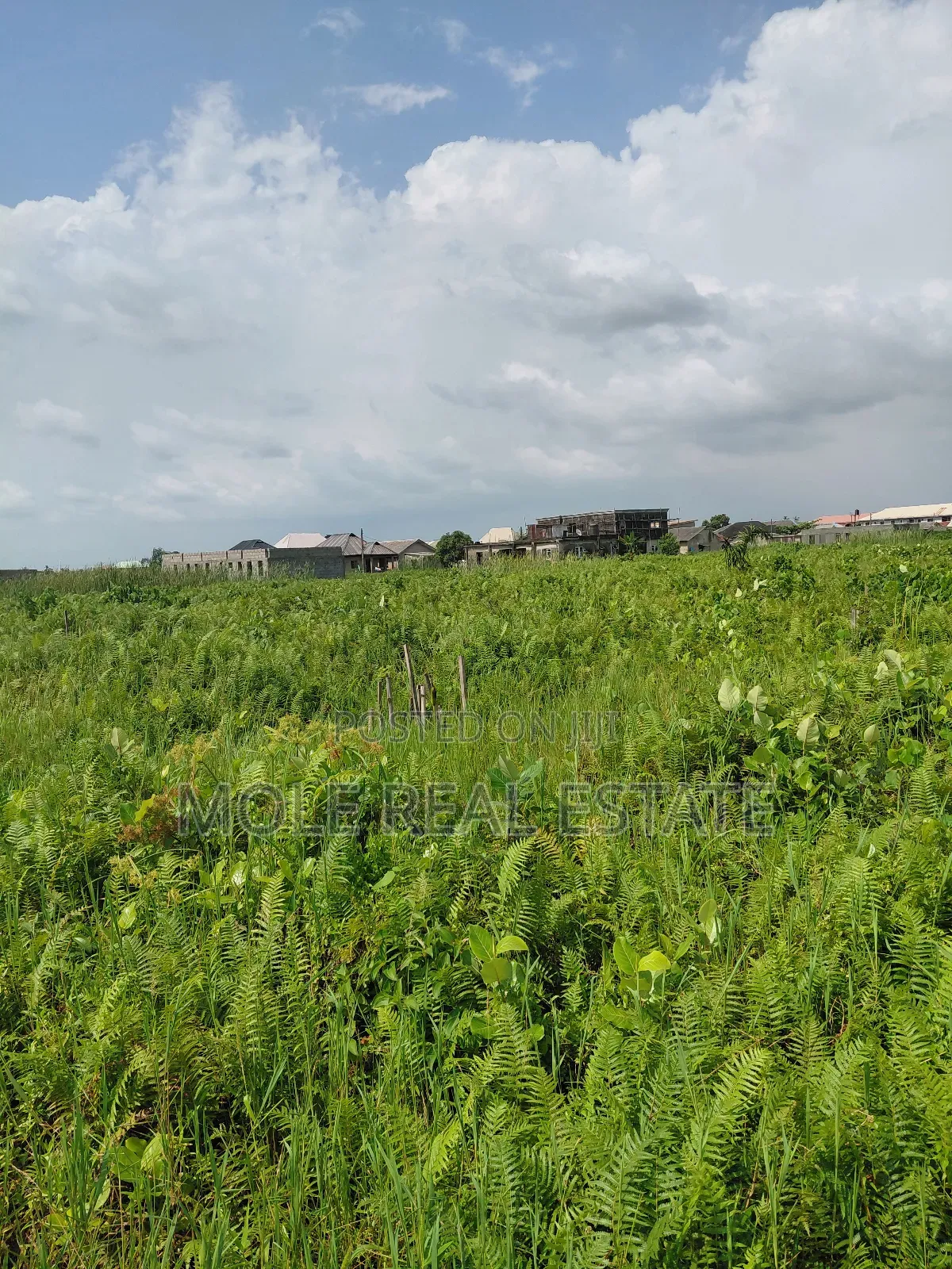 Half Plot Moshalashi Egan Fenced Gated in Ikotun / Ikotun/Igando