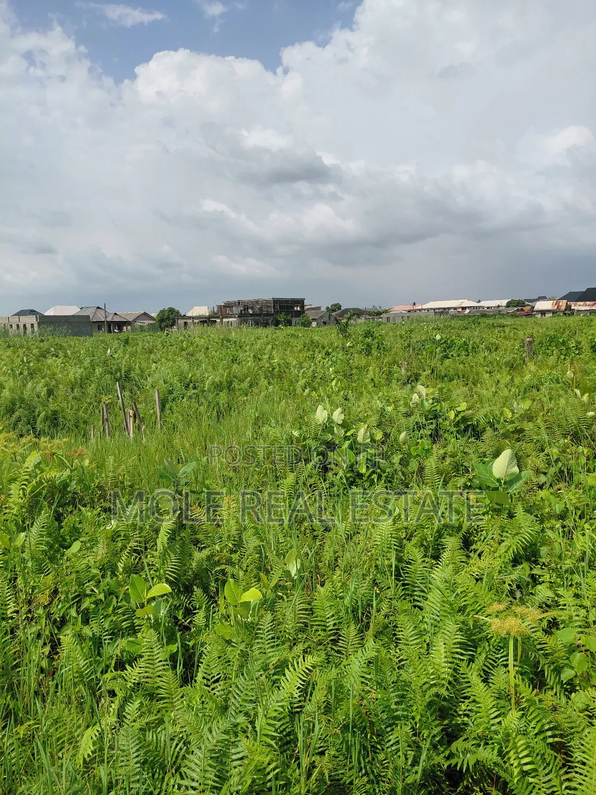 Half Plot Moshalashi Egan Fenced Gated in Ikotun / Ikotun/Igando