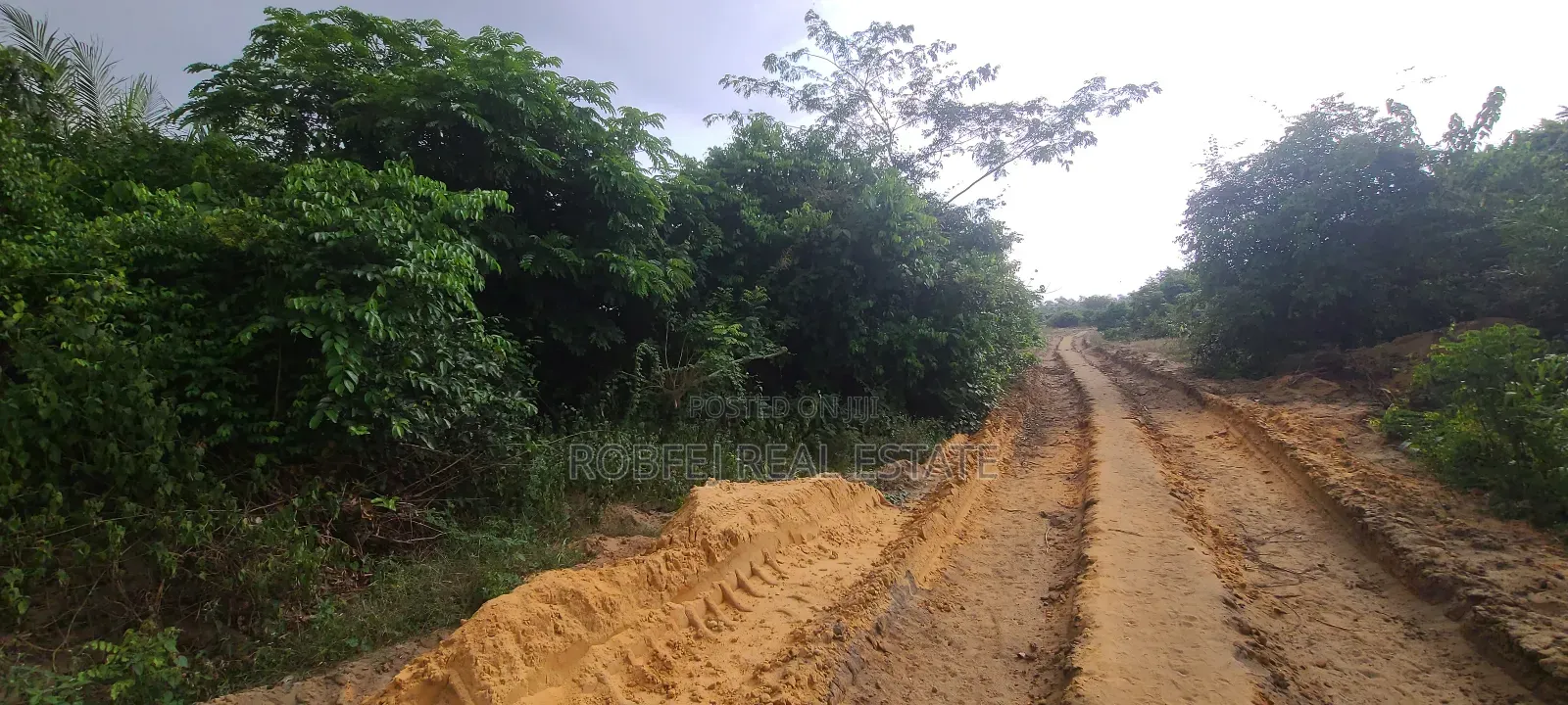 Prime Land Alert! in Elerangbe