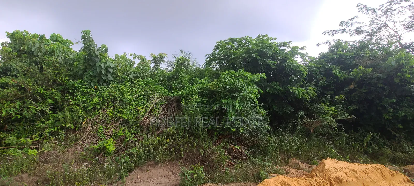 Prime Land Alert! in Elerangbe