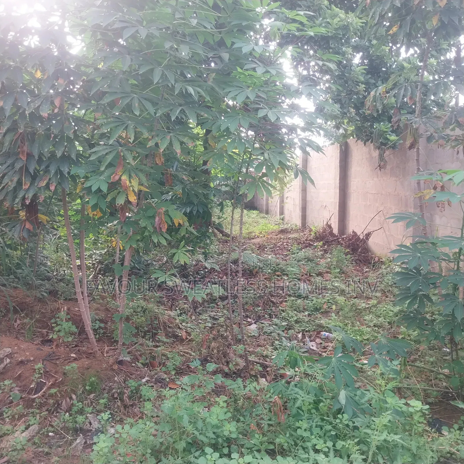 2 Plots of Land at Miracle Avenue Off Magboro Rd in Obafemi-Owode