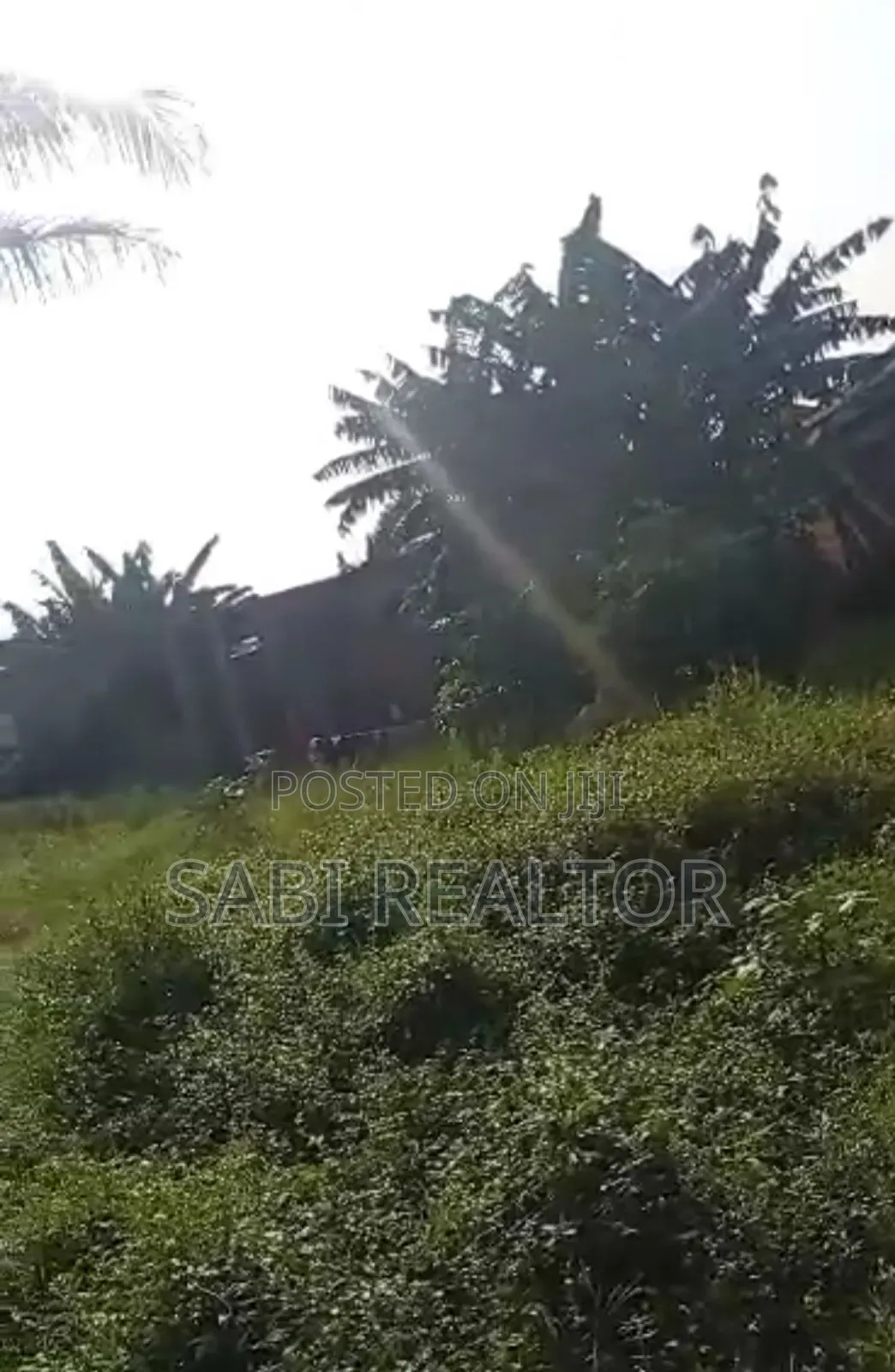 Standard Full Plot of Land at Ishefun Ayobo Close to Al Hassan Busstop in Ayobo