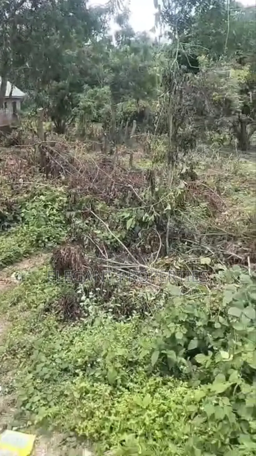Almost 3 Plots of Land at Oke Obedu Area of Okinni in Osogbo