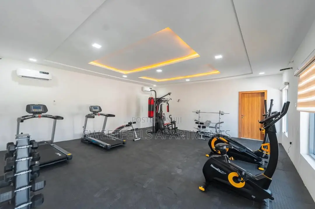 Fully Serviced 3 Bedroom Apartment With Gym, Ps5, Swimming Pool in Ikate