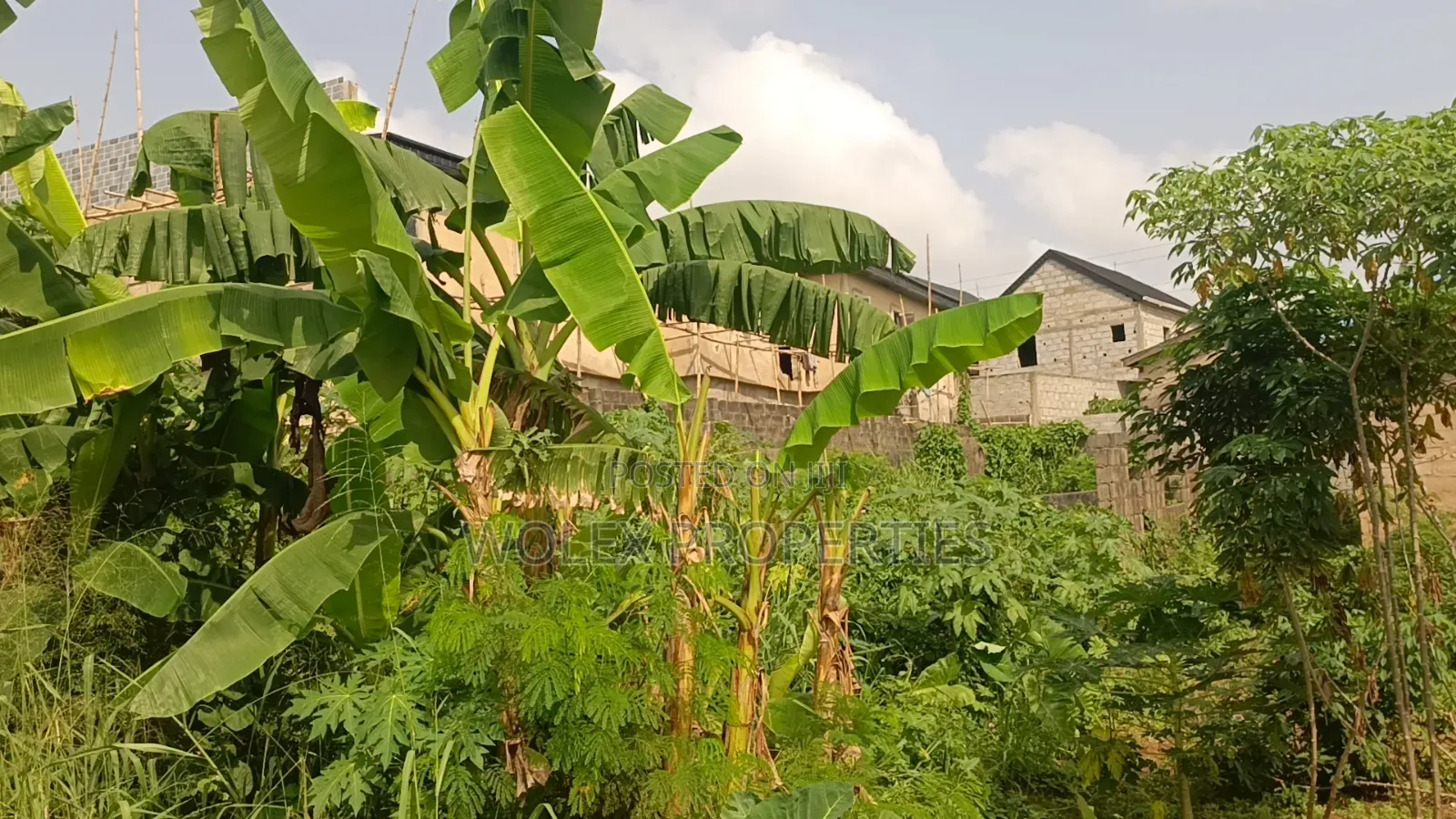 Half Plot of Land at Peace Estate Baruwa in Baruwa