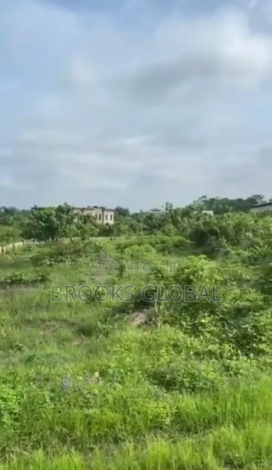 Land of 100/100 at Naija Cat for Sale in Warri