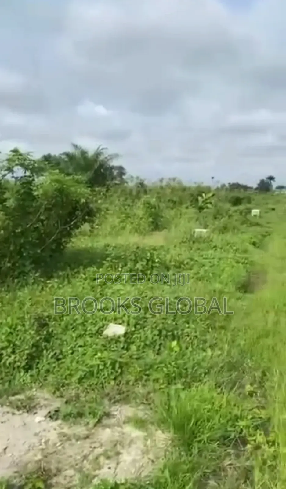 Land of 100/100 at Naija Cat for Sale in Warri