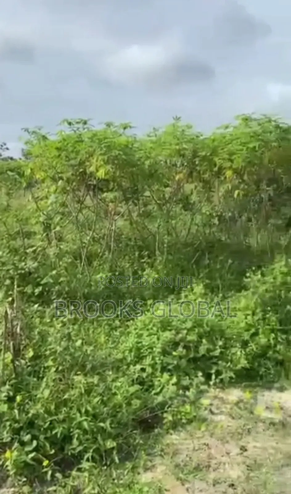 Land of 100/100 at Naija Cat for Sale in Warri