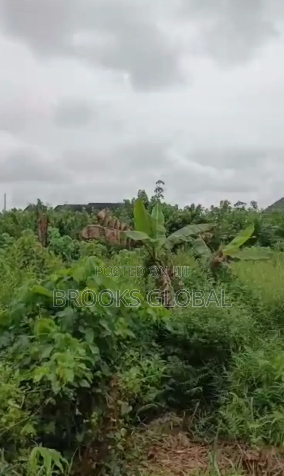 A Land of 100/100 on Tiled Road at Nigercat Warri for Sale in Warri
