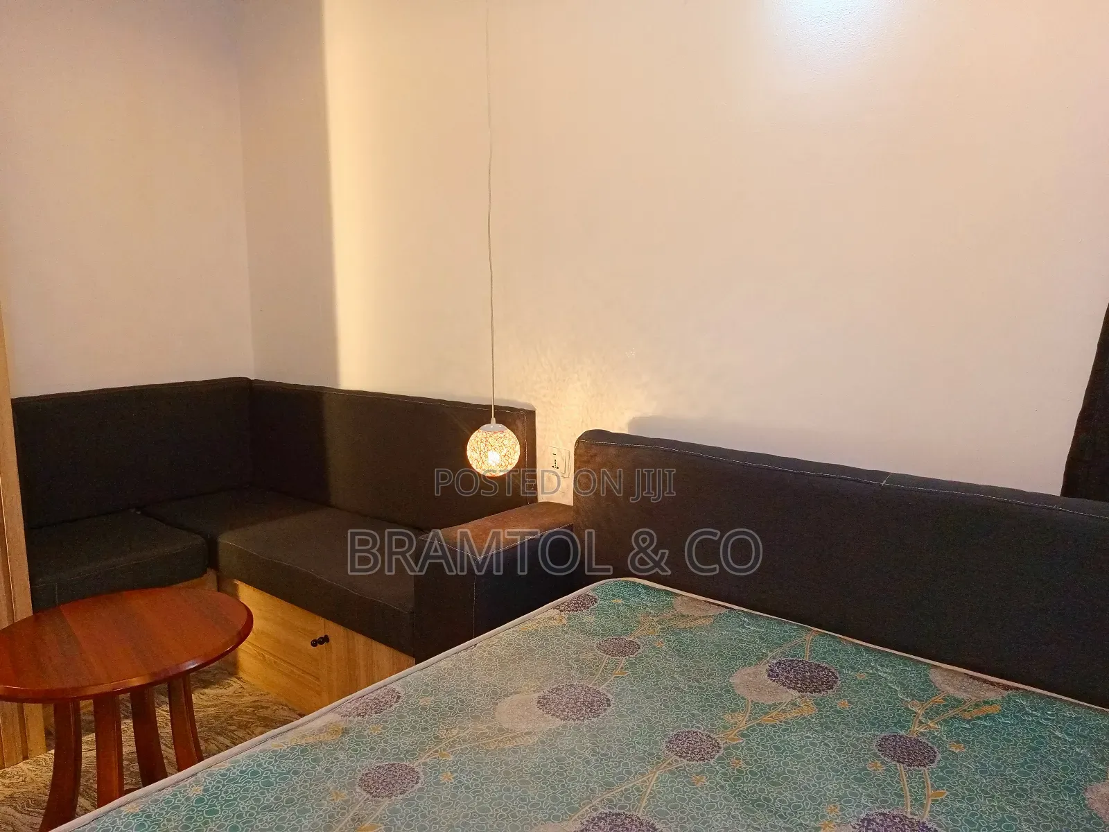 Furnished Studio Apartment in Garki 2 for rent in Garki 2