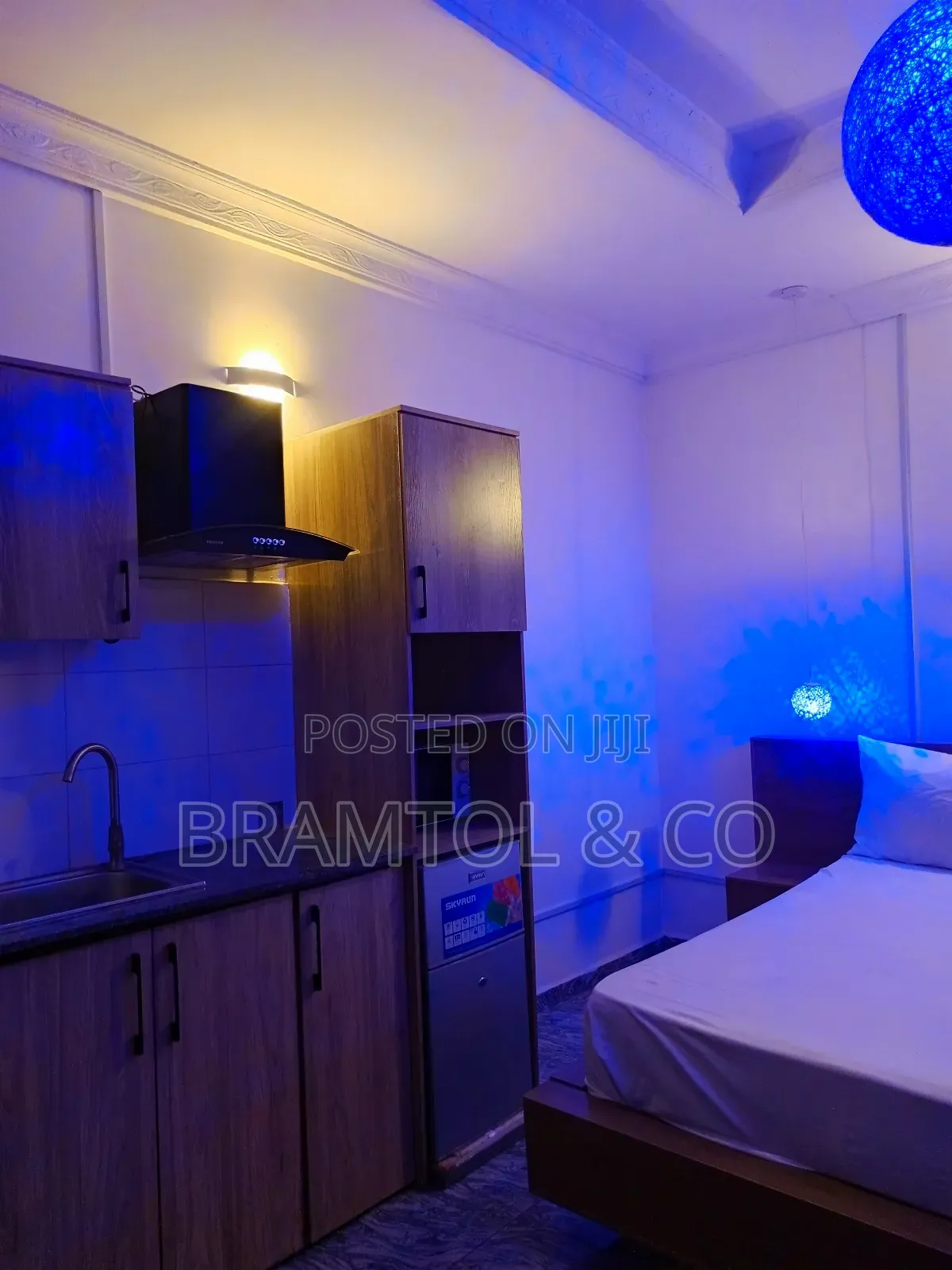 Furnished Studio Apartment in Garki 2 for rent in Garki 2