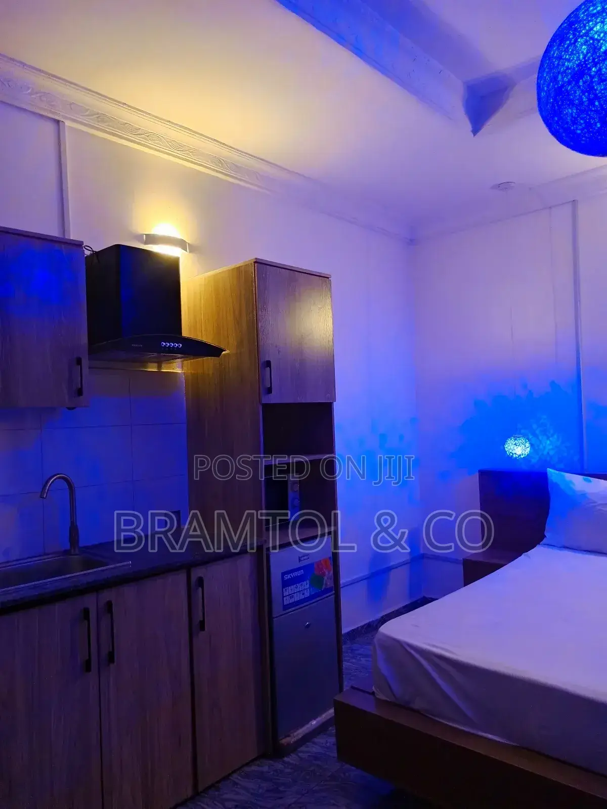 Furnished Studio Apartment in Garki 2 for rent in Garki 2