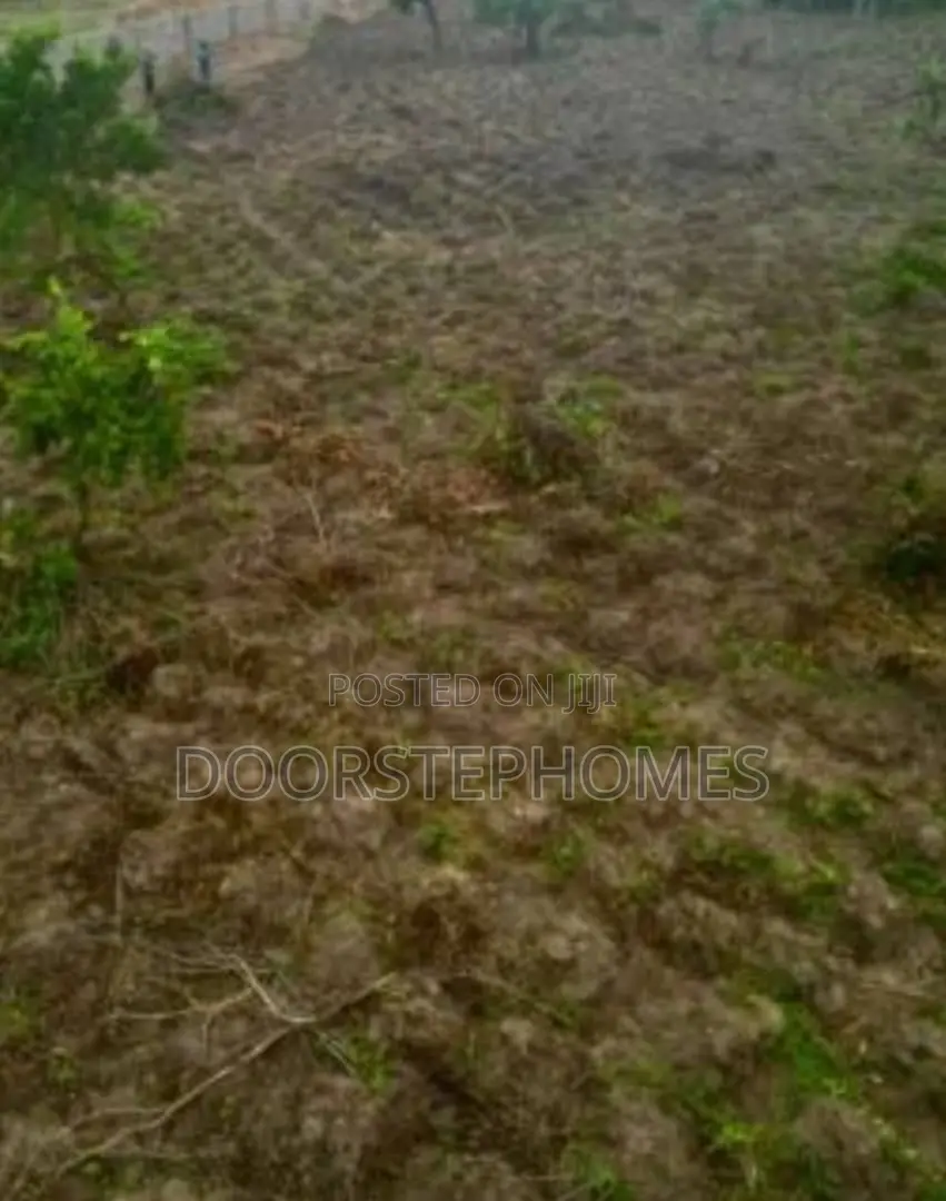 1.24 Hectares Mixed-Used Land for Sale in Kyami in Kiami