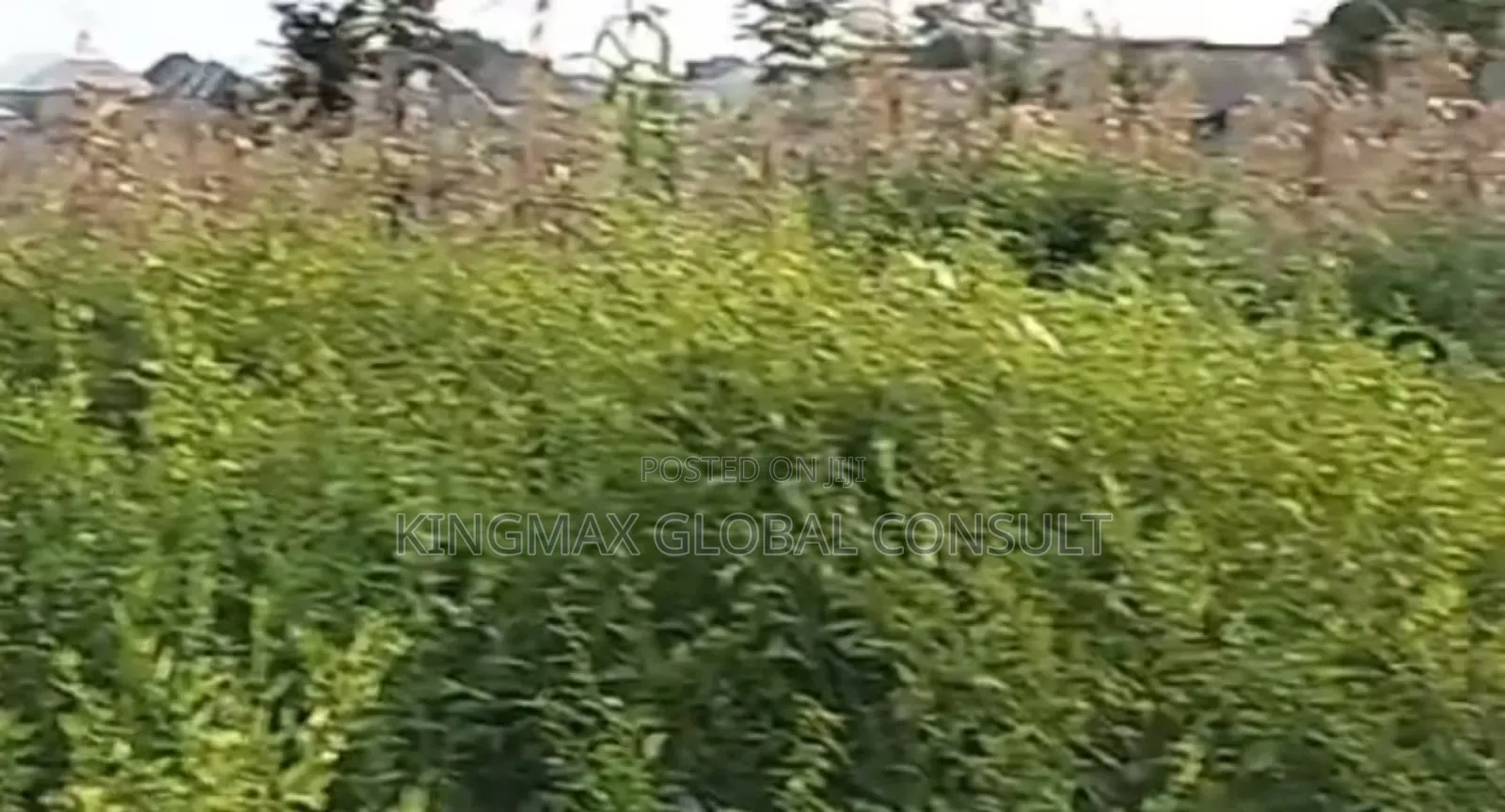 For Sale At Dape/Lifecamp. Plot 305 Size: 1,208.60sqm Title: Cofo in Dape