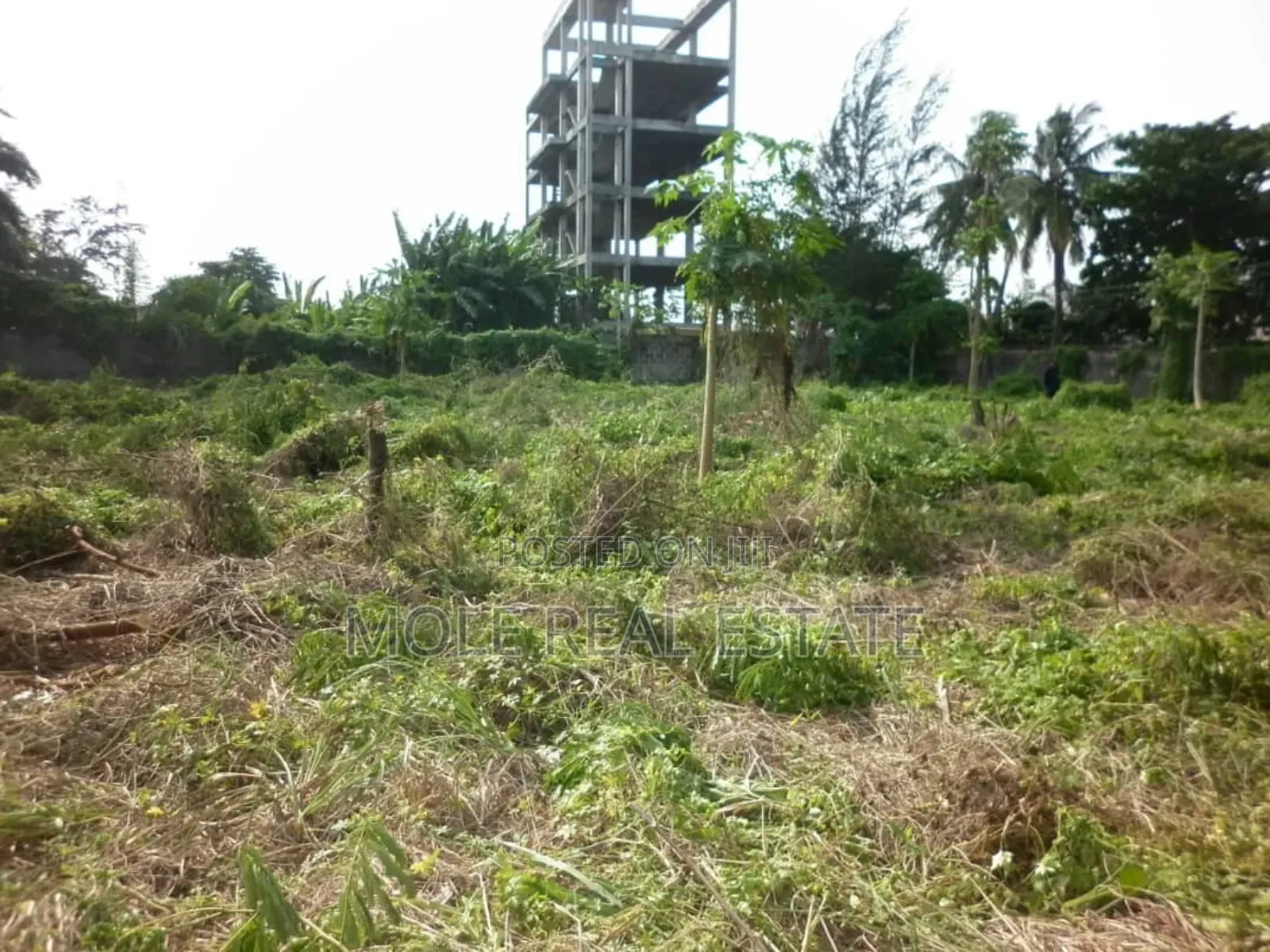 Tank Farm And Jetty 4 Sale Warri Delta State A in Warri
