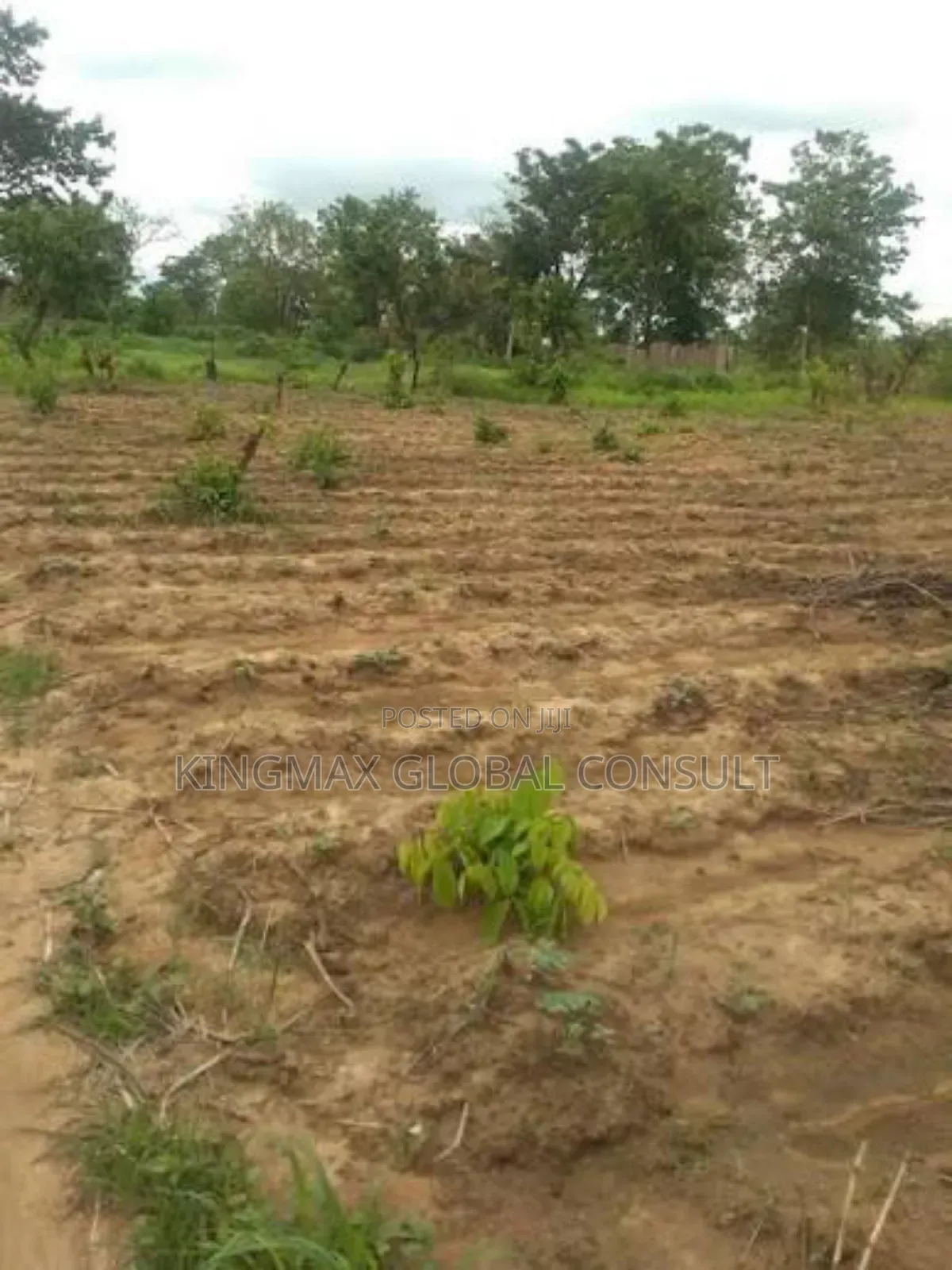 Land for Sale! 
Plot Size: 1900sqm
 
Purpose: Residential in Maitama