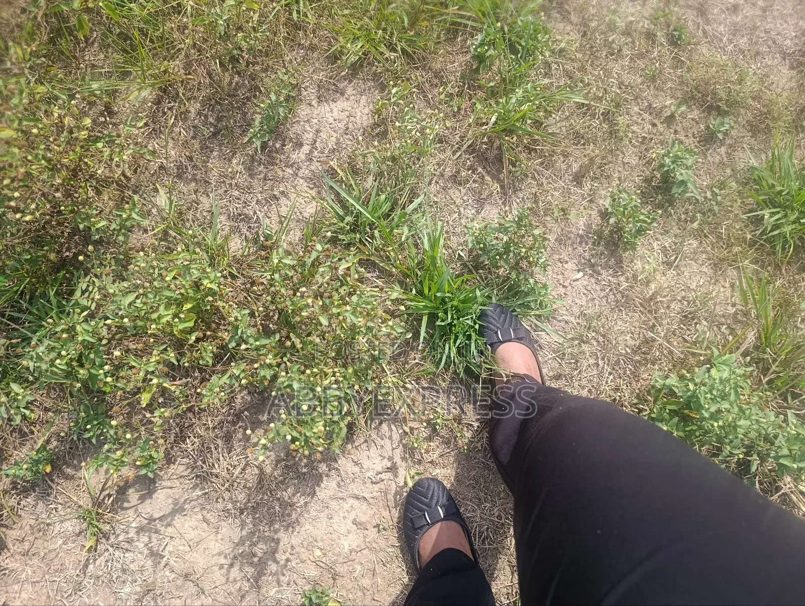Land for Sale in Oluyole Gra, Ibadan. in Ibadan