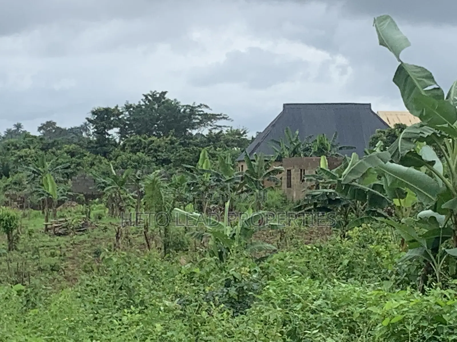1 Plot of Land Close to the Main Road Elenu Sonso Ido Area in Ido