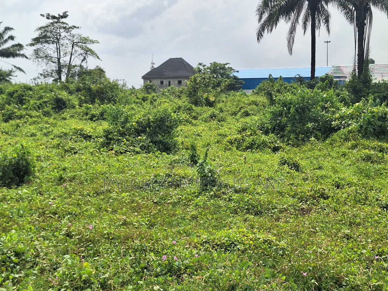 For Sale: 100 Plots Directly on a Tarred Road, Omagwa, Rivers State in Obio-Akpor