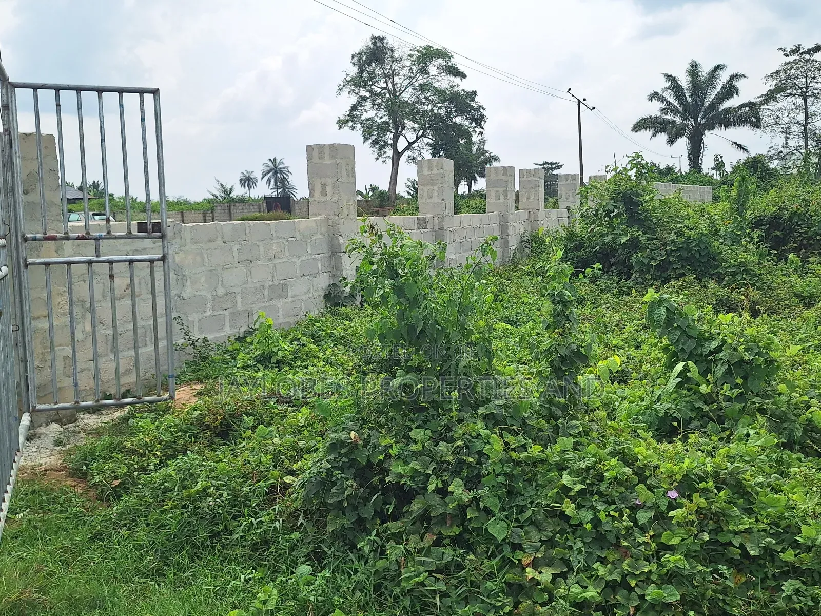 For Sale: 100 Plots Directly on a Tarred Road, Omagwa, Rivers State in Obio-Akpor