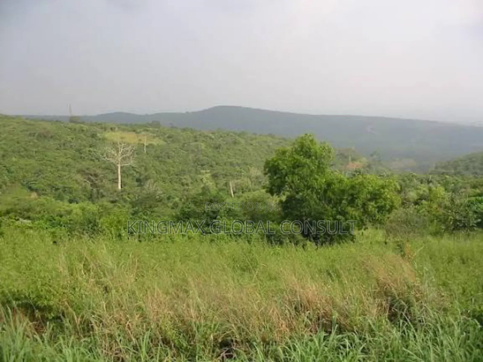 Land for Sale! Plot Size: 1,100sqm : Purpose: Residential in Maitama