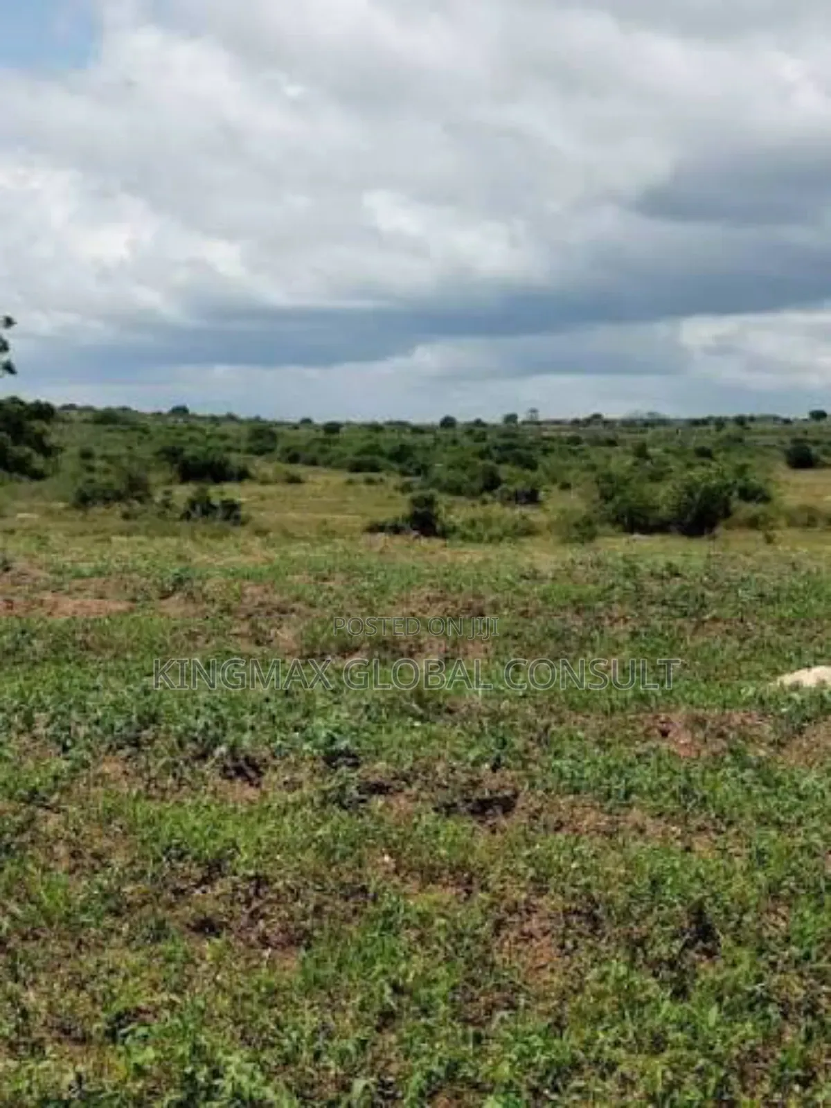 Land for Sale! 
Plot Size: 2,441sqm :
Purpose: Residential in Maitama