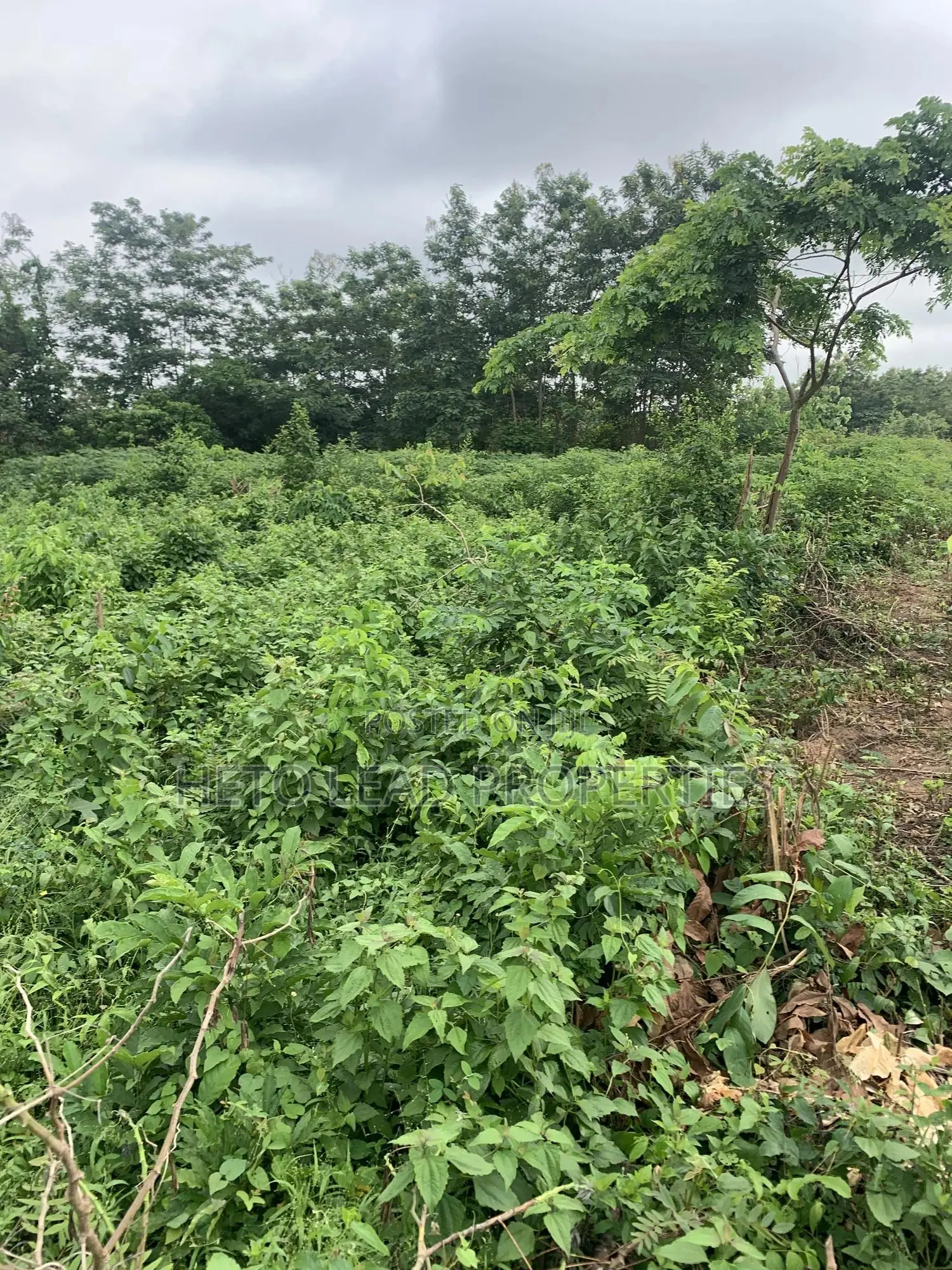 10.5 Acres Of Land Facing The Main Expressway in Omi Adio
