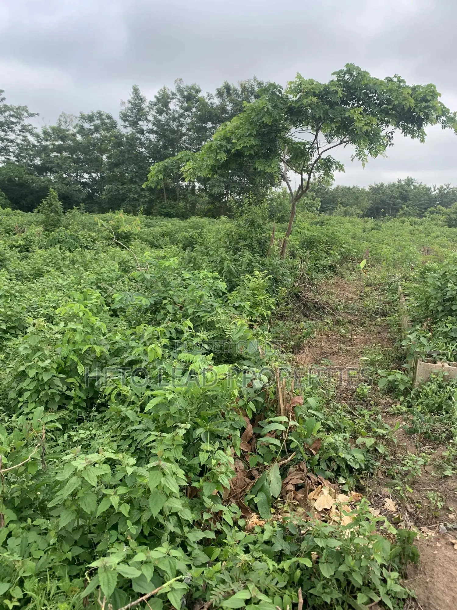 10.5 Acres Of Land Facing The Main Expressway in Omi Adio