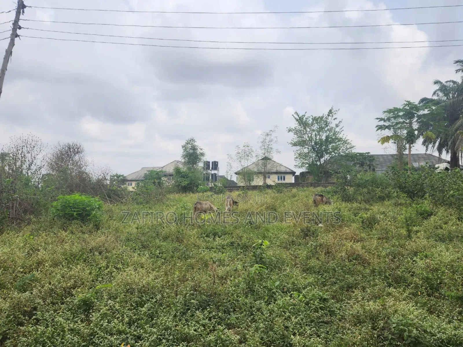 Strategic 5 Plots Near Podo Road for Sale in Ibadan