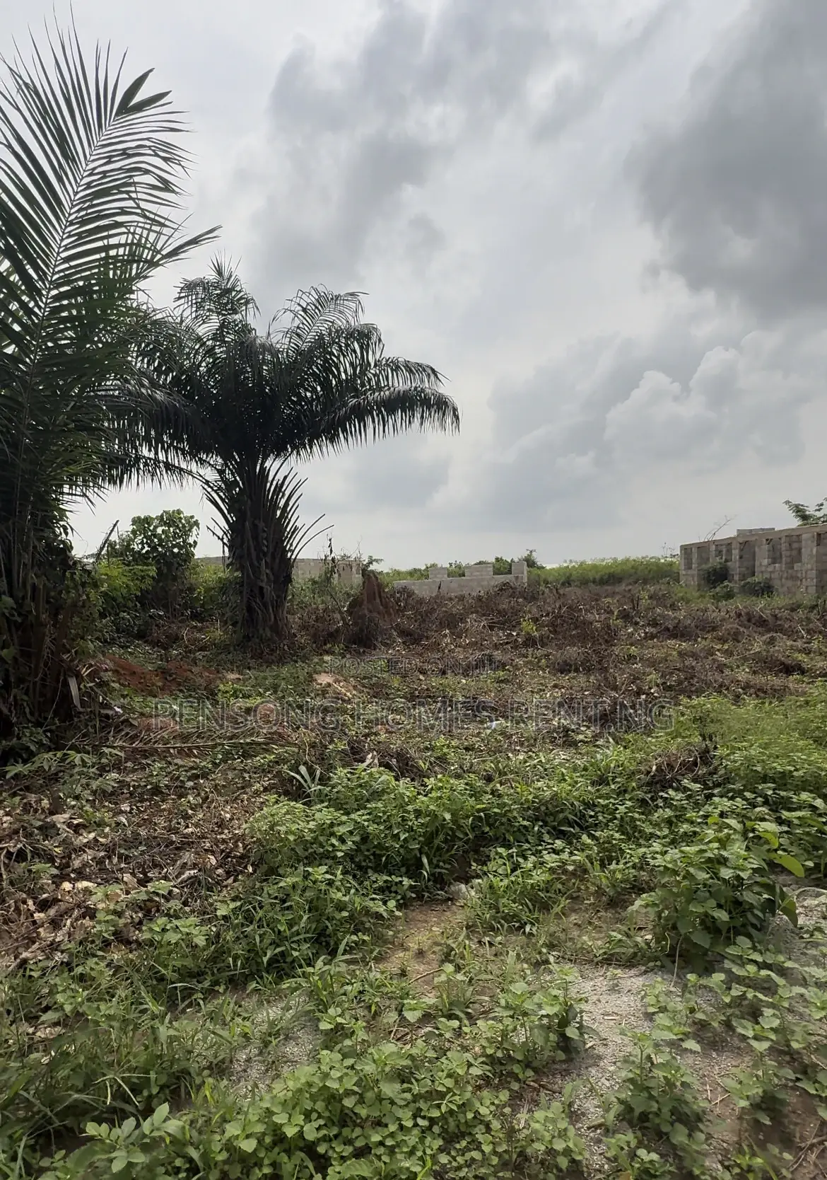 Full Plot of Land in Remo North