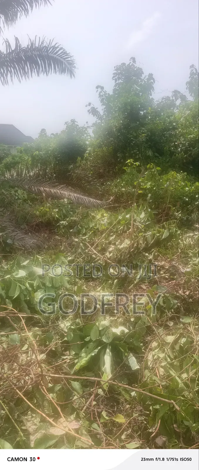 1 Plot of Land in Ajah