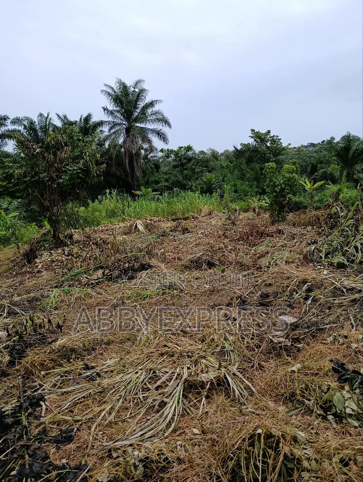 Plot of Land for Sale in Akobo, Olohunda Ibadan in Ibadan