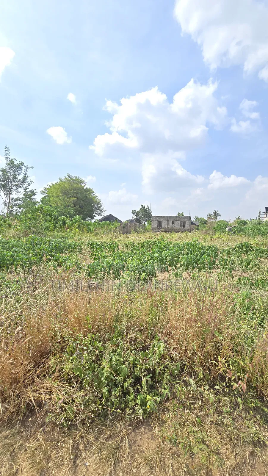 A Plot of Land at Johnson Awe Oluyole Ibadan in Oluyole Estate