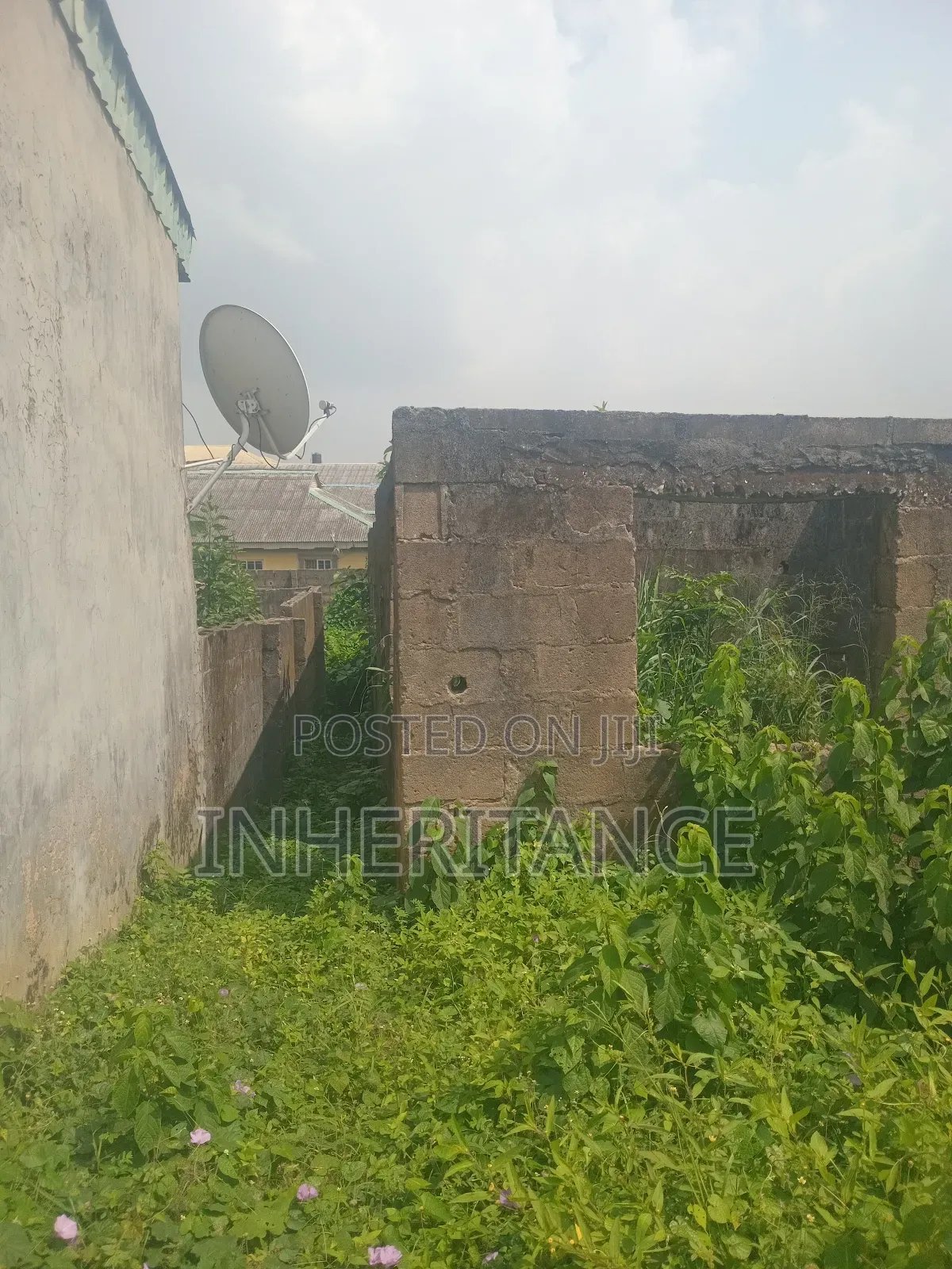 3bdrm Bungalow in Peace Estate, Agric for sale in Agric