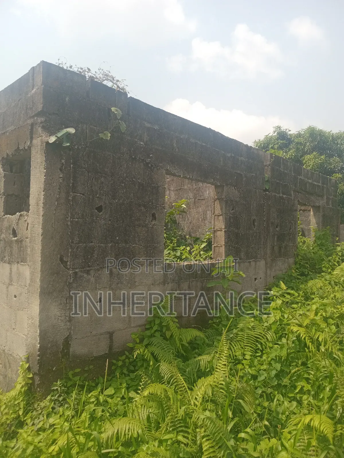 3bdrm Bungalow in Peace Estate, Agric for sale in Agric
