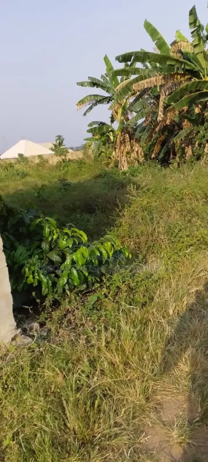 Standard Plot Of Land in Akure
