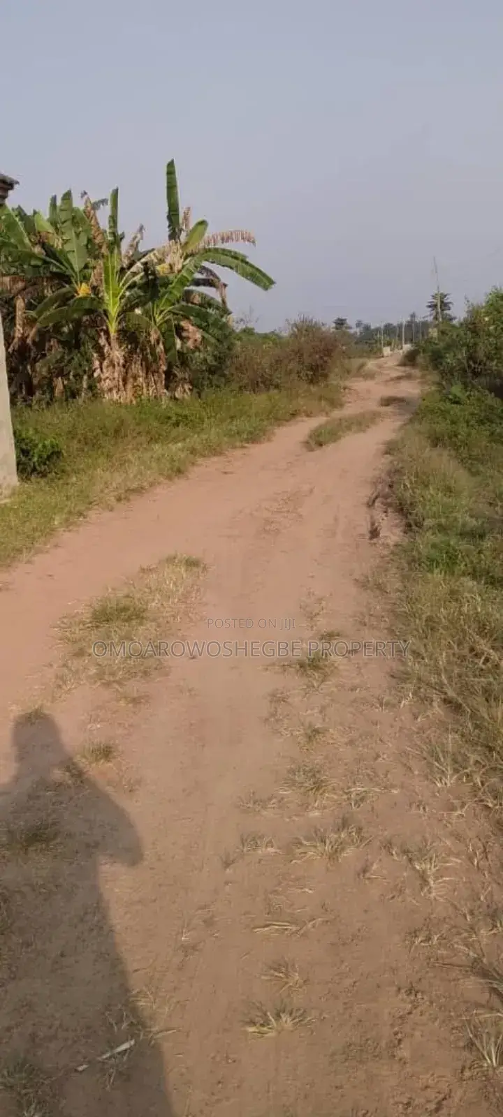 Standard Plot Of Land in Akure