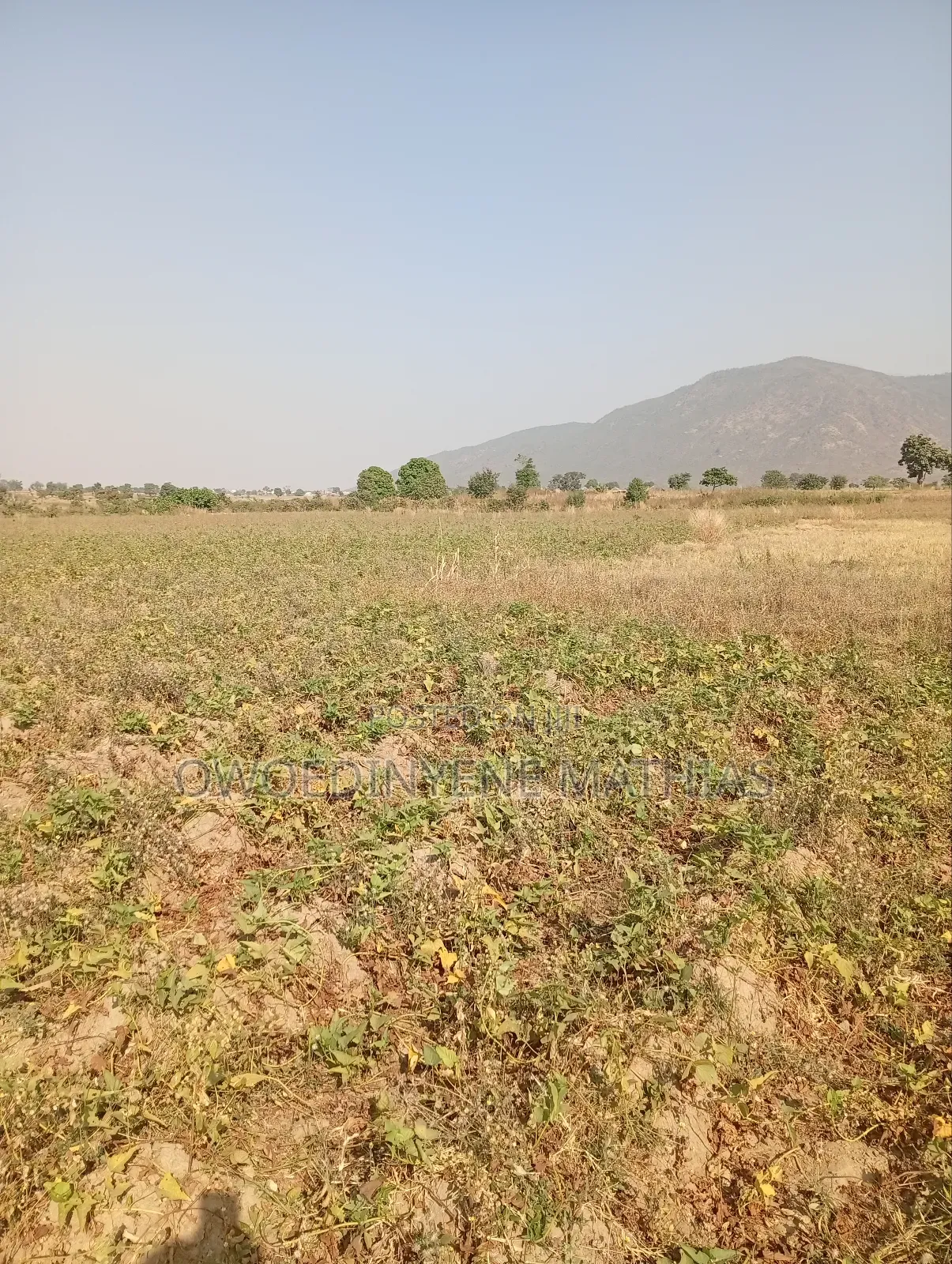 Bungalow Estate Plot at Karshi Presale in Karshi