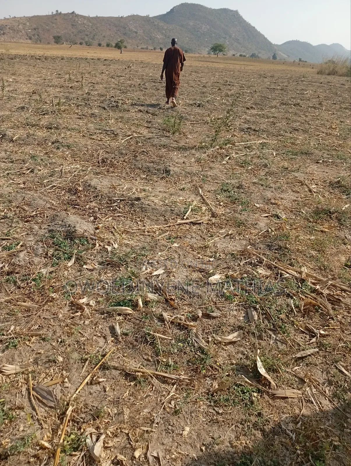 Bungalow Estate Plot at Karshi Presale in Karshi