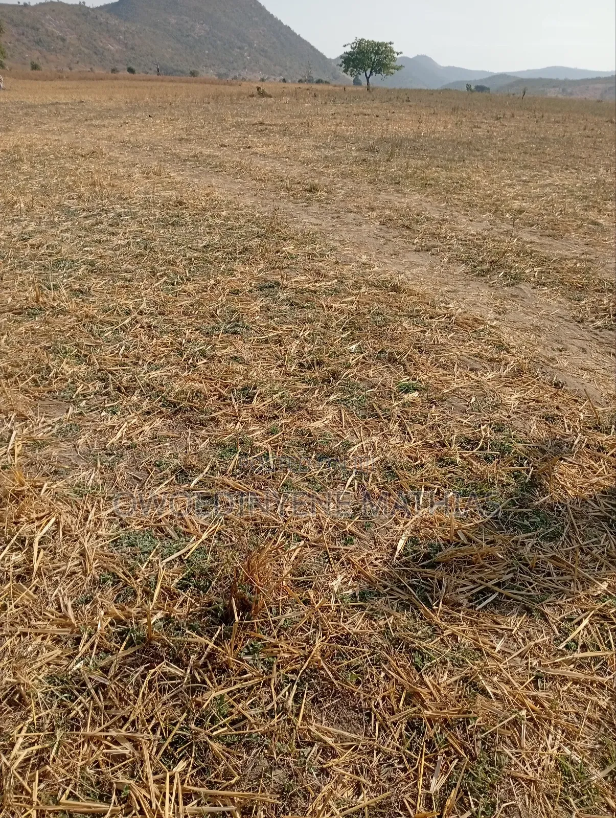 Bungalow Estate Plot at Karshi Presale in Karshi