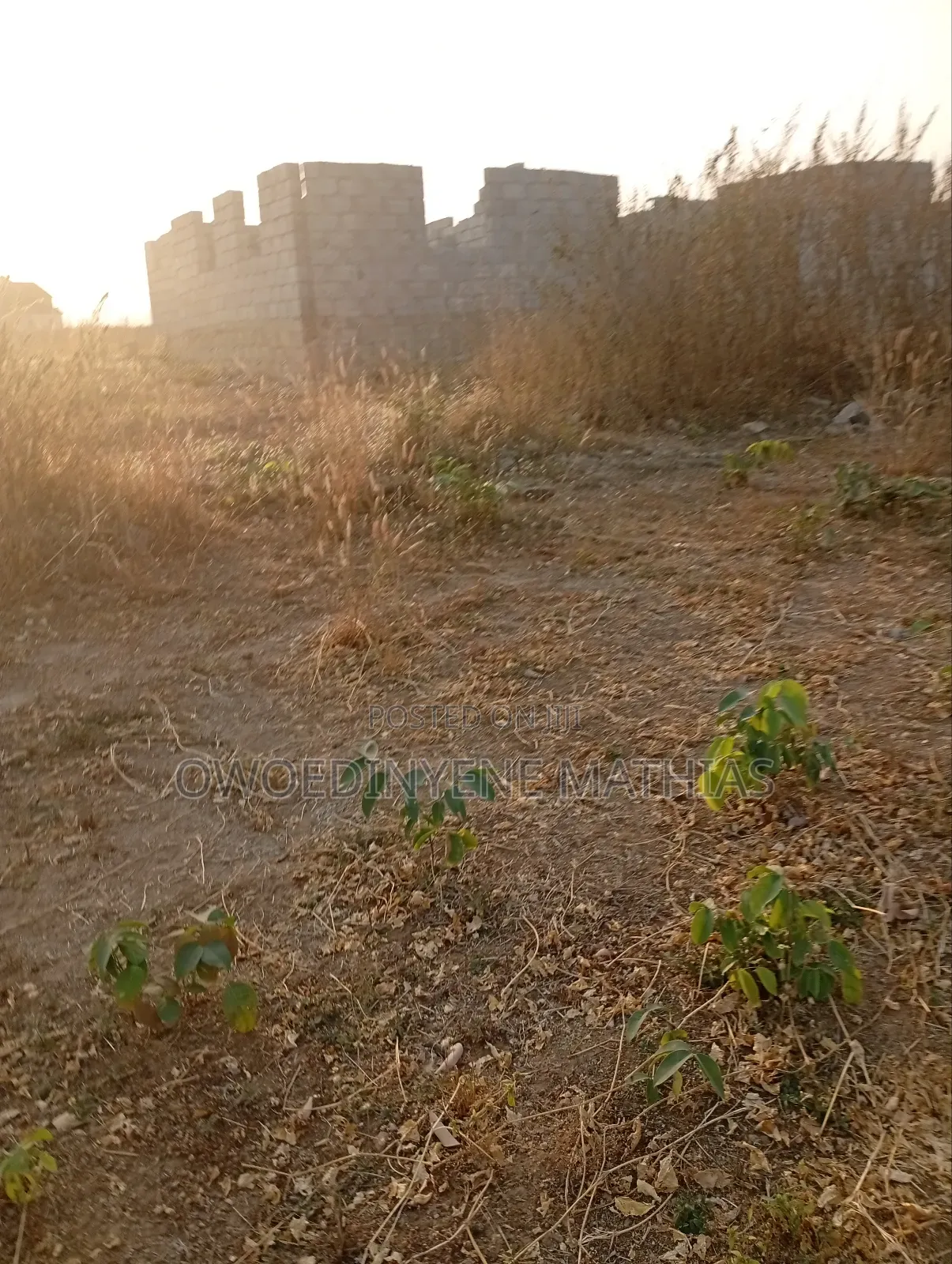 Timberland Estate -Kurudu/Gidan Mangoro in Kurudu