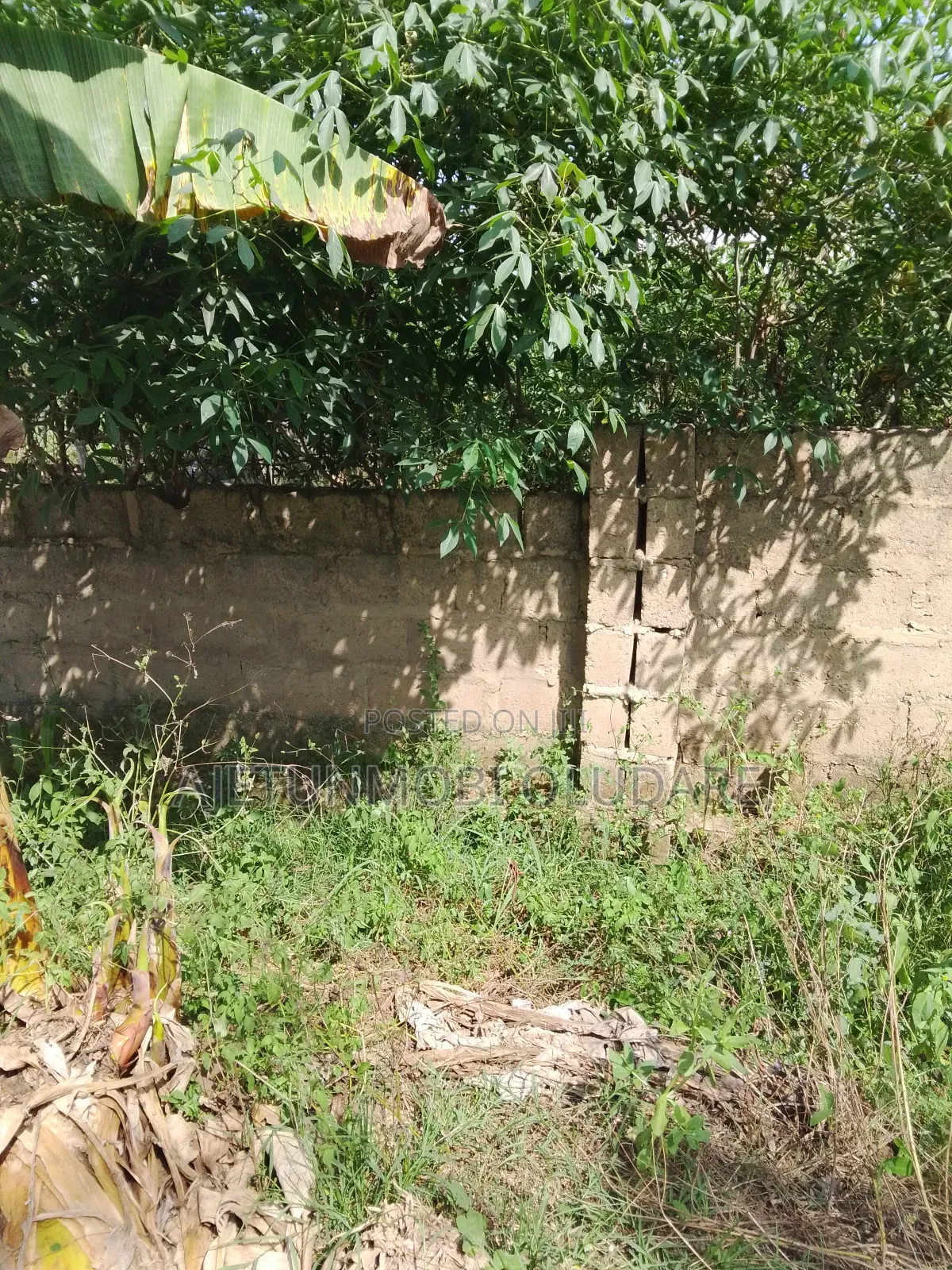 2 Plots of Land Confirm for Sale in Ado Ekiti