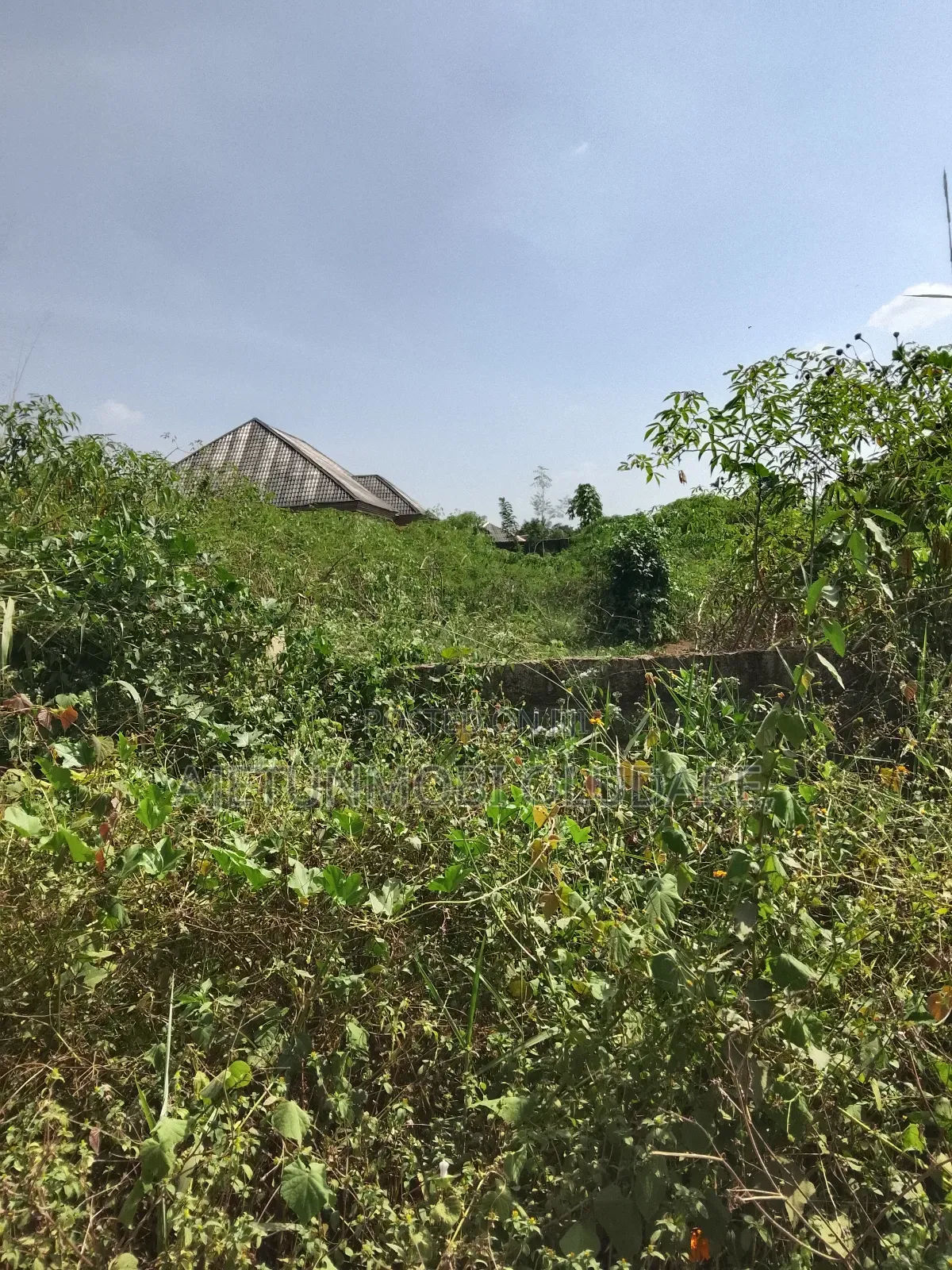 2 Plots of Land Confirm for Sale in Ado Ekiti