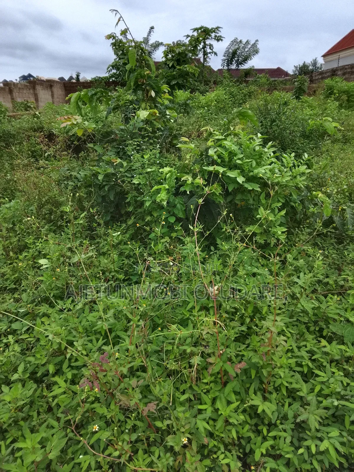 Plots 2 Complete for Sale at Olujoda Ado Ekiti in Ado Ekiti