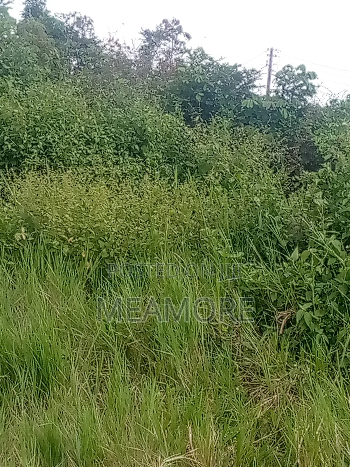 Land for Sale at Epe Lagos State in Epe